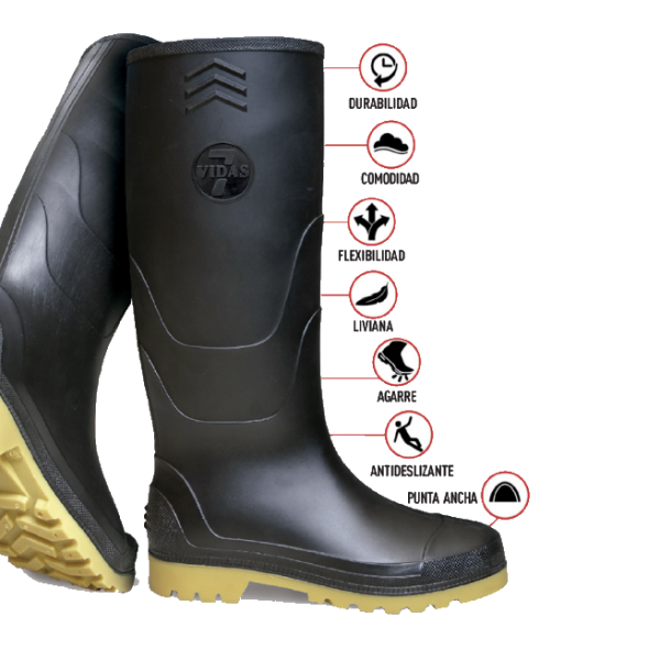 Bota goliat